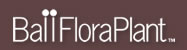 BallFloraPlant