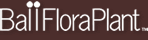 BallFloraPlant