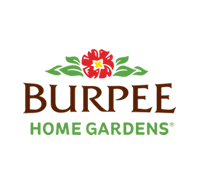Burpee