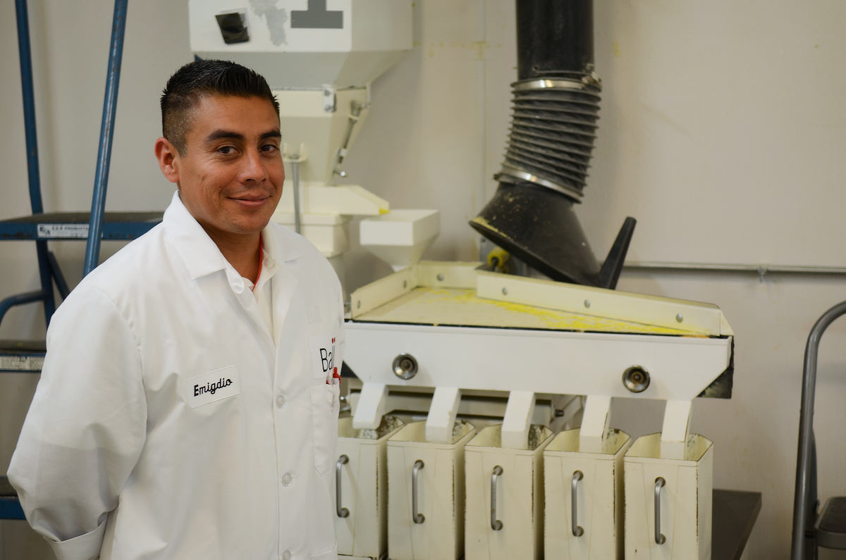 seed technician in the lab