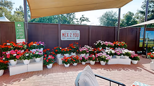 Tour Ball FloraPlant and Selecta One outdoors