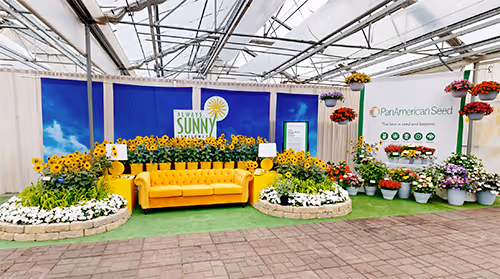 Tour PanAmerican Seed greehouse