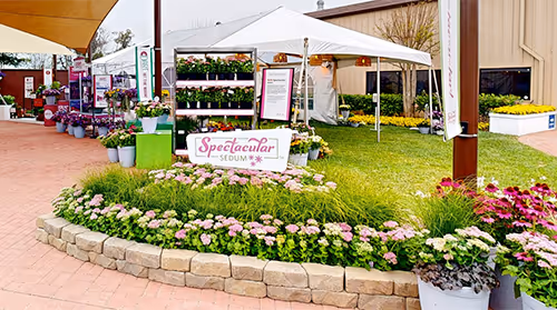 Tour PanAmerican Seed outdoors