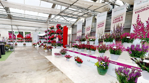 Tour Ball FloraPlant greenhouse