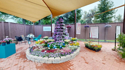 Tour Darwin Perennials