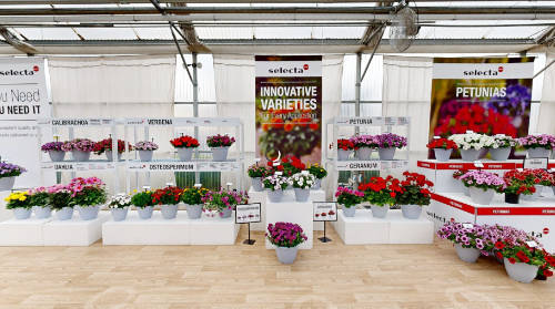 Tour Selecta One greenhouse