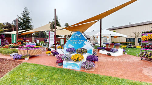 Tour PanAmerican Seed outdoors