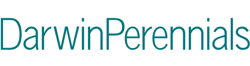 DarwinPerennials